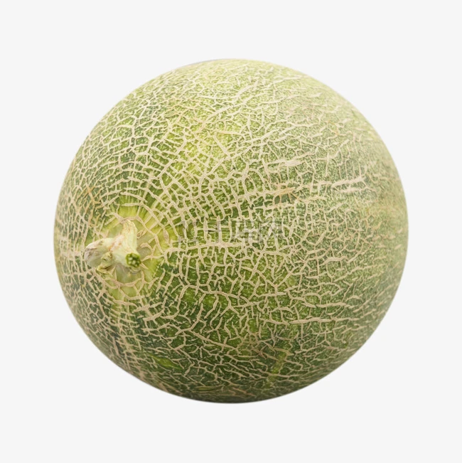 Semillas De Melón De Cáscara Verde Grisácea Y Forma Ovalada ME-105